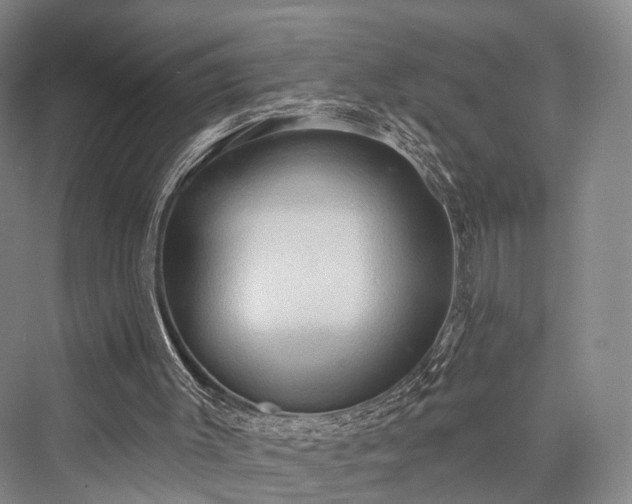 X0000076221491200610051117