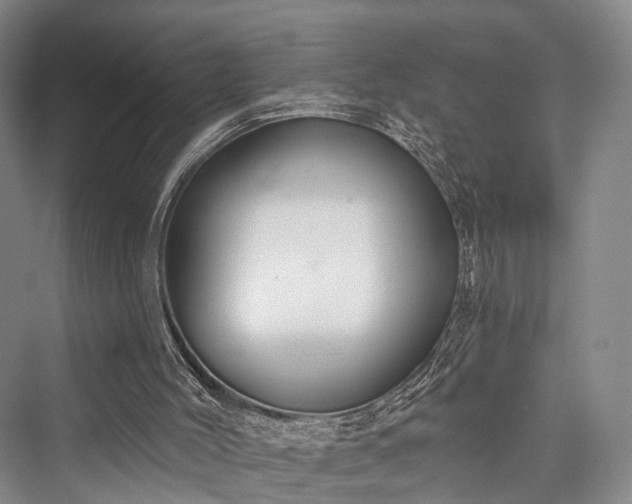 X0000076221492200610051117