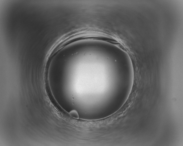 X0000076221495200610051117