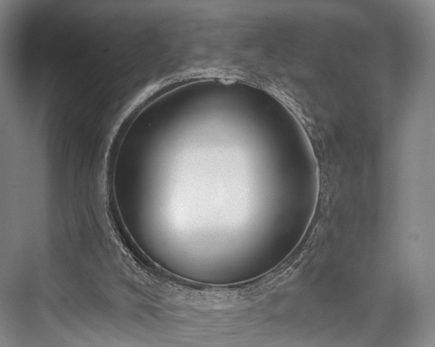 X0000076221496200610051117