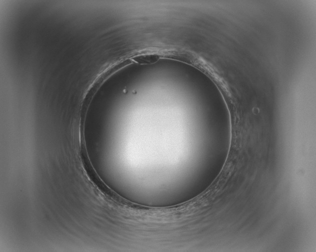 X0000076221499200610051117