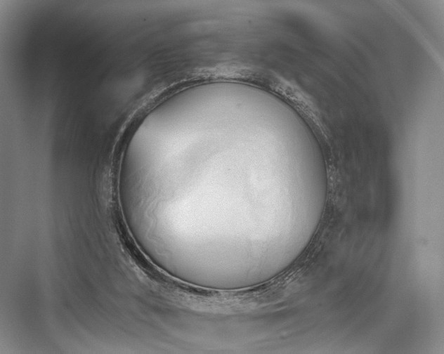 X0000076221500200610051117