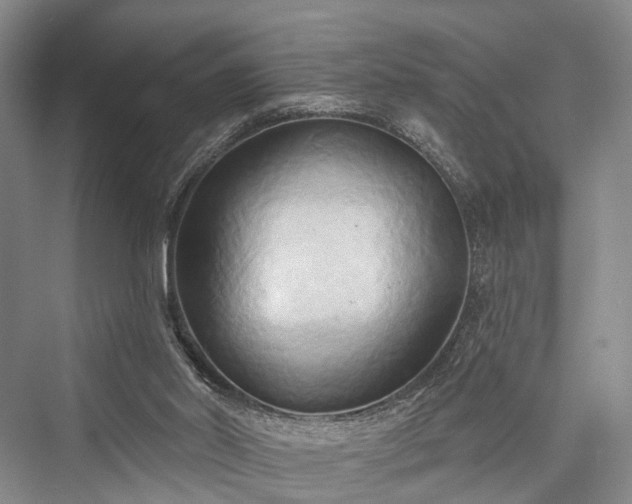 X0000076221502200610051117