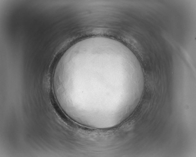 X0000076221504200610051117