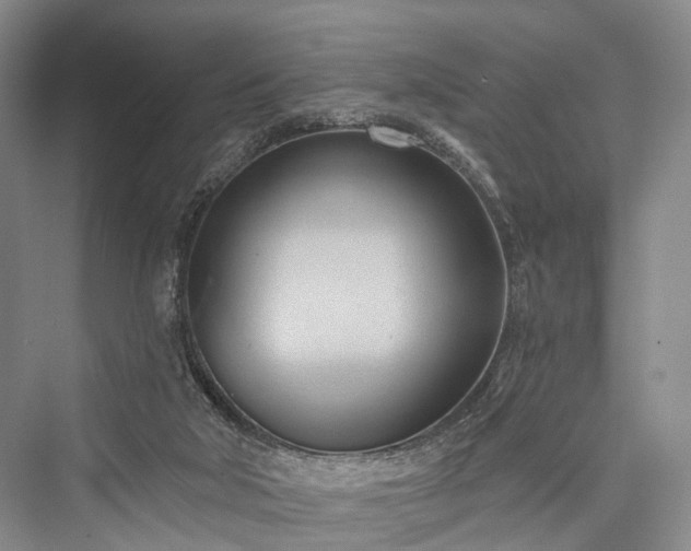 X0000076221506200610051117