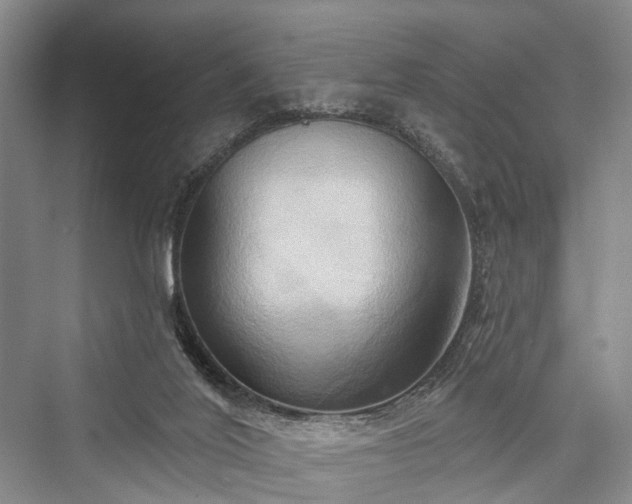 X0000076221508200610051117