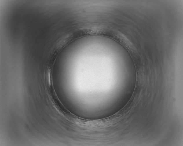 X0000076221510200610051117