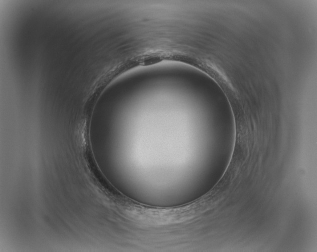 X0000076221511200610051117