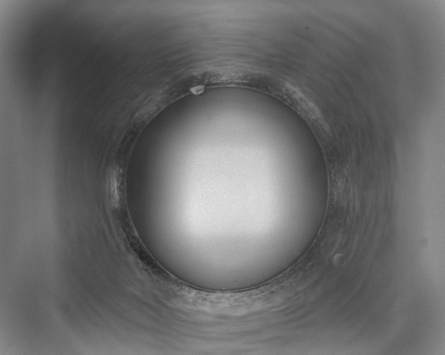 X0000076221514200610051116