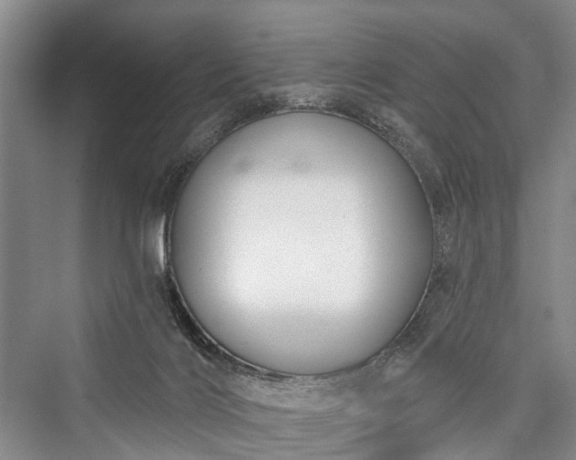 X0000076221516200610051116