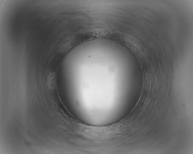 X0000076221522200610051116