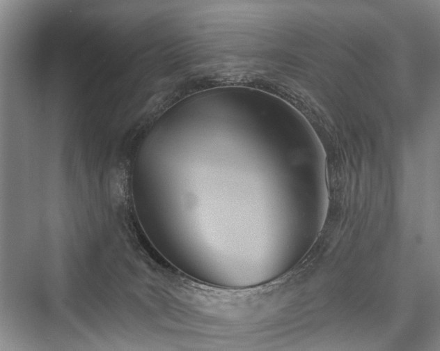 X0000076221523200610051116