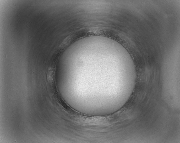 X0000076221524200610051116