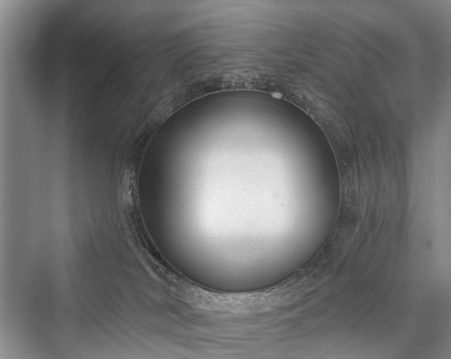 X0000076221526200610051116