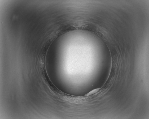 X0000076221528200610051116