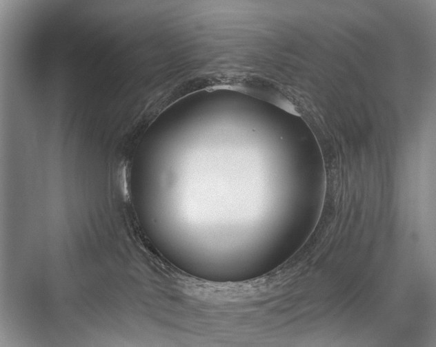 X0000076221530200610051116
