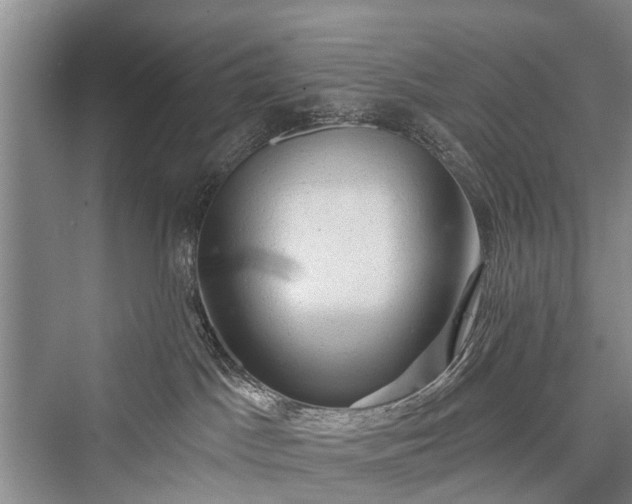 X0000076221533200610051116