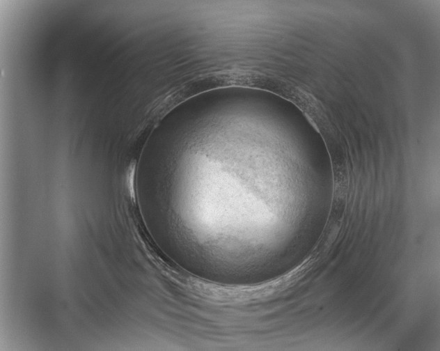 X0000076221535200610051116