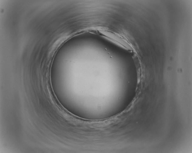 X0000076220001200610122101