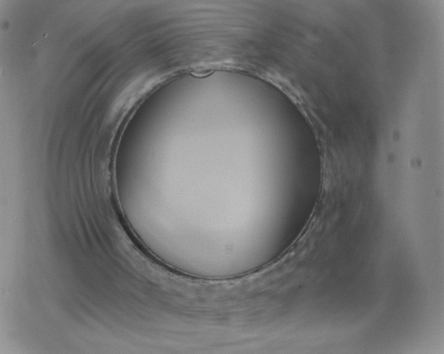 X0000076220002200610122101