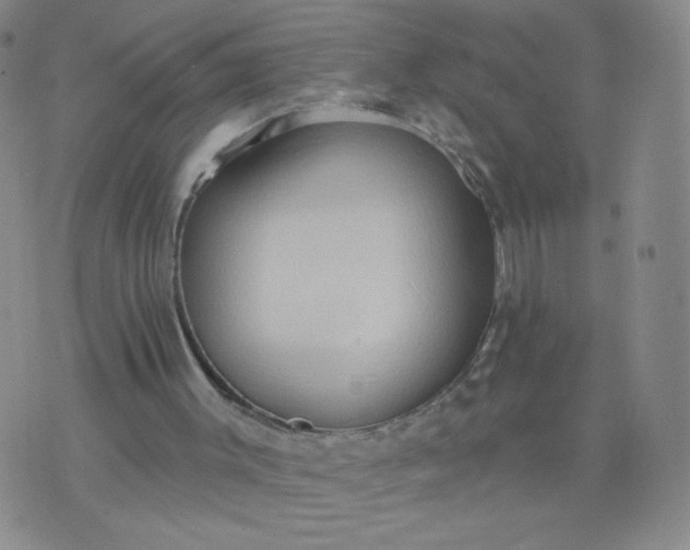 X0000076220003200610122101