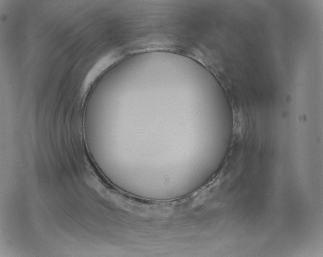 X0000076220004200610122101