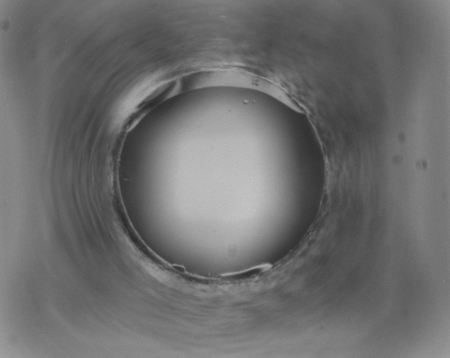 X0000076220005200610122101