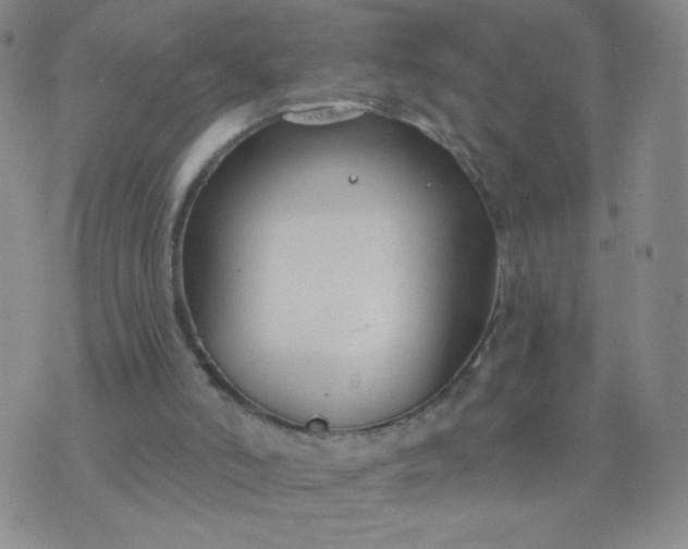 X0000076220006200610122101