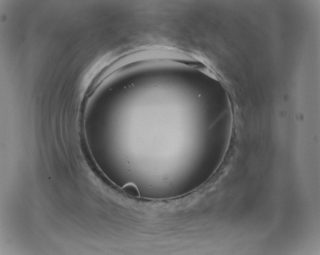 X0000076220007200610122101