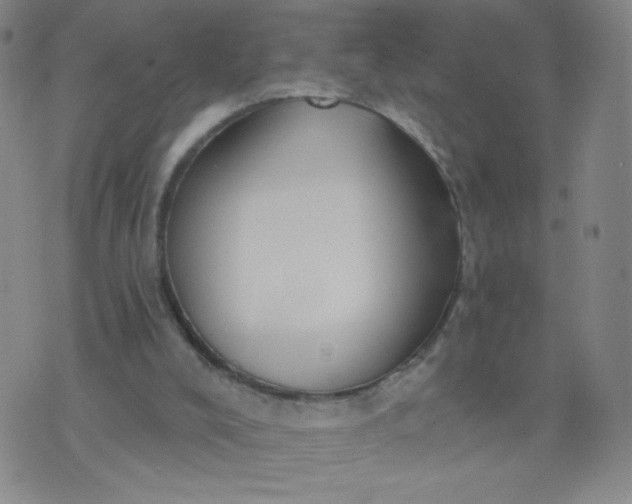 X0000076220008200610122101