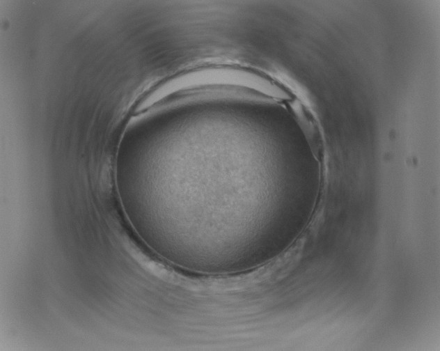 X0000076220009200610122101