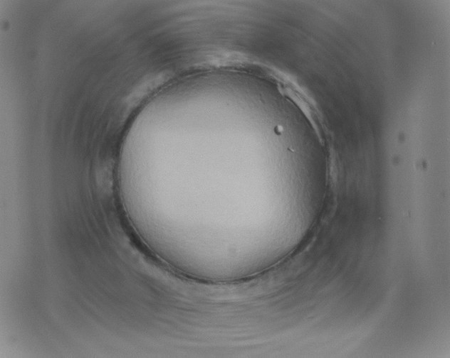 X0000076220010200610122101