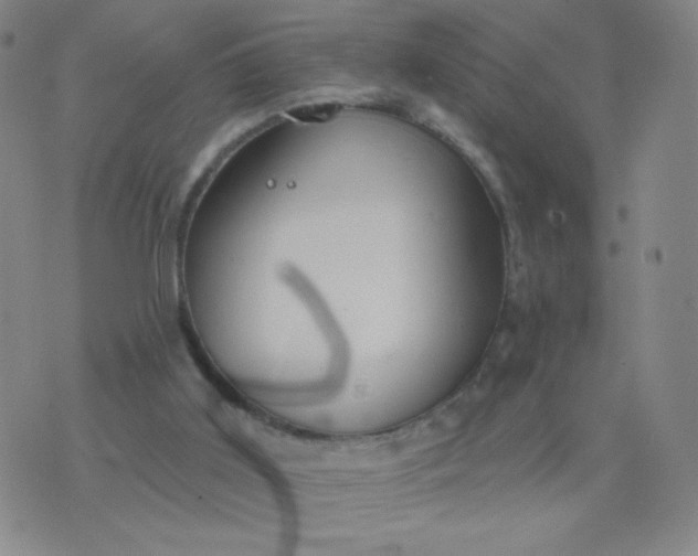 X0000076220011200610122101