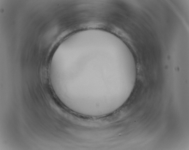 X0000076220012200610122101