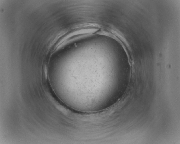 X0000076220013200610122101