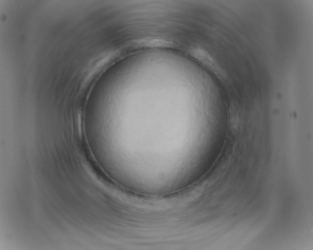 X0000076220014200610122101