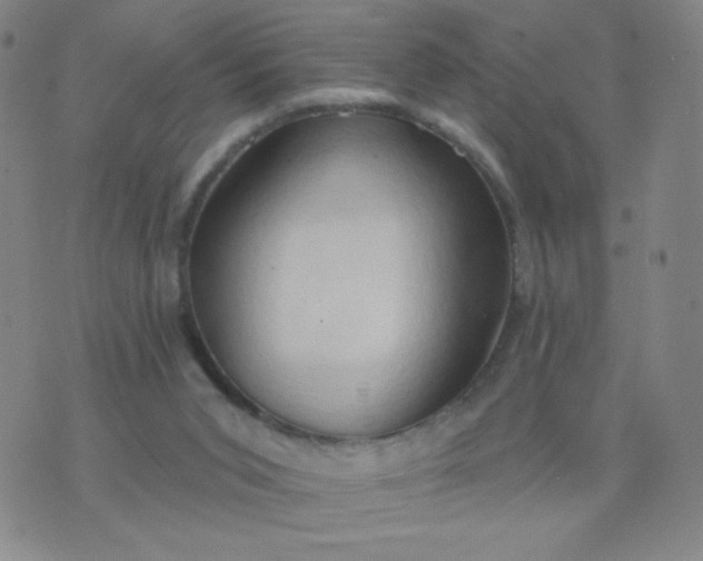 X0000076220015200610122101