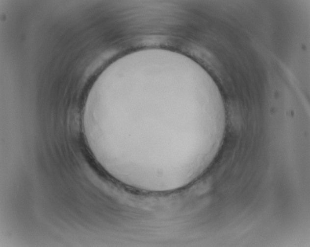 X0000076220016200610122101