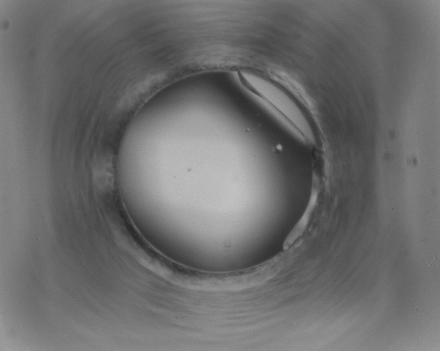 X0000076220017200610122101