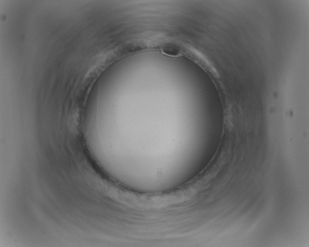 X0000076220018200610122101