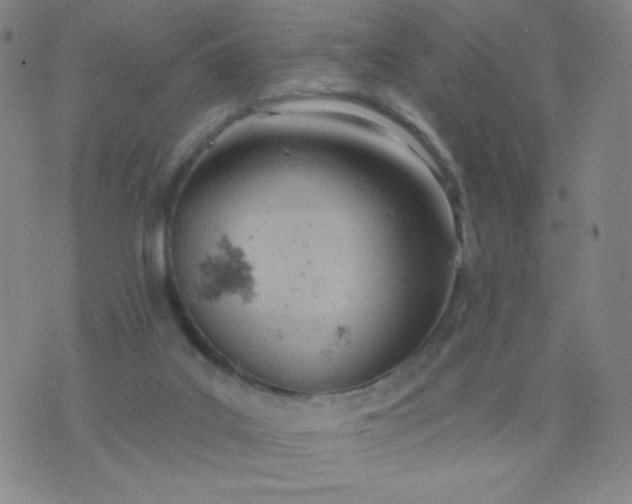 X0000076220019200610122101