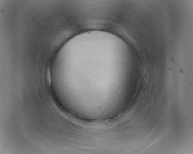 X0000076220020200610122101