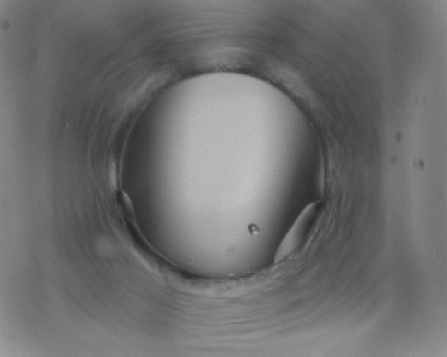 X0000076220021200610122101