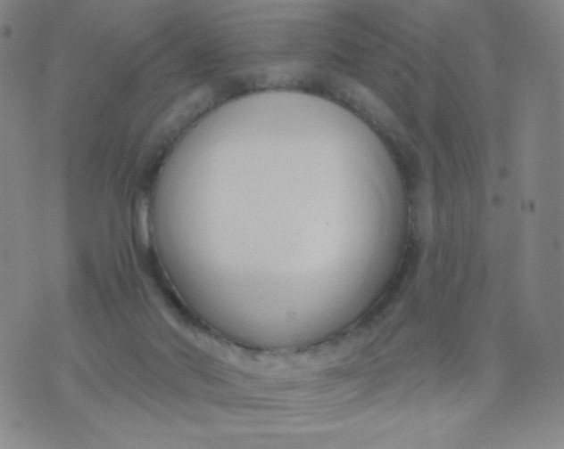 X0000076220022200610122101