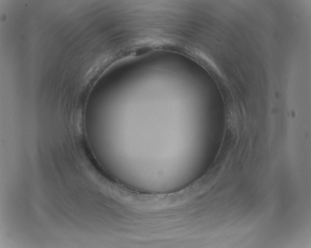 X0000076220023200610122101