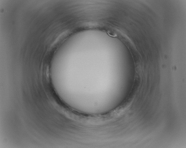 X0000076220024200610122101