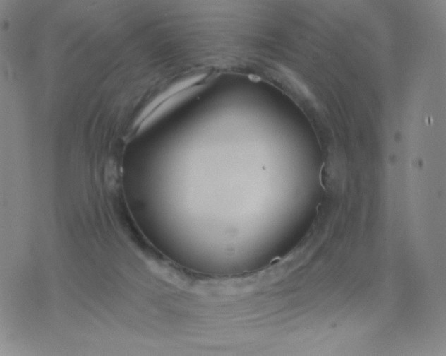 X0000076220025200610122101