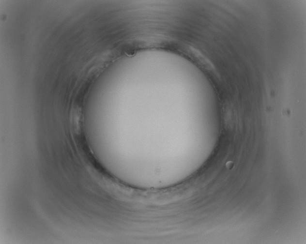 X0000076220026200610122101