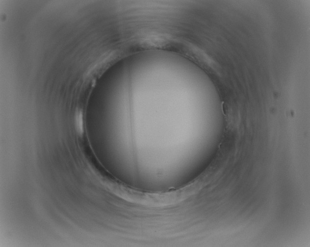 X0000076220027200610122101