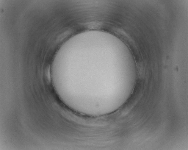 X0000076220028200610122101